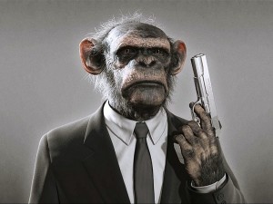 Создать мем: человек, обезьяна с ядерной кнопкой, обезьяна
