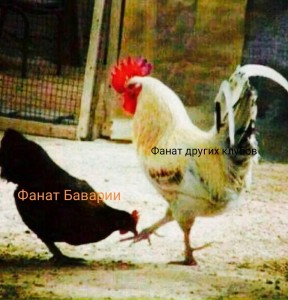 Create meme: chicken, Cockerel, rooster