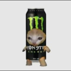 Create meme: energy monster, animals funny , silly cat 
