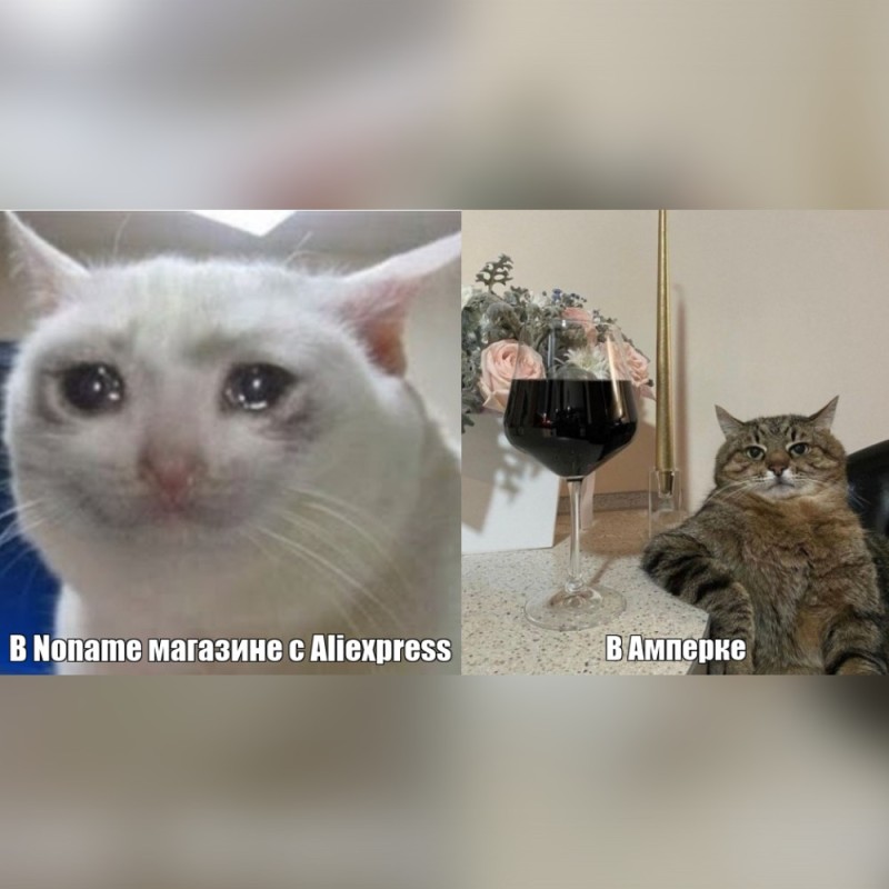 Create meme: sad cat meme, meme crying cat, meme cat 