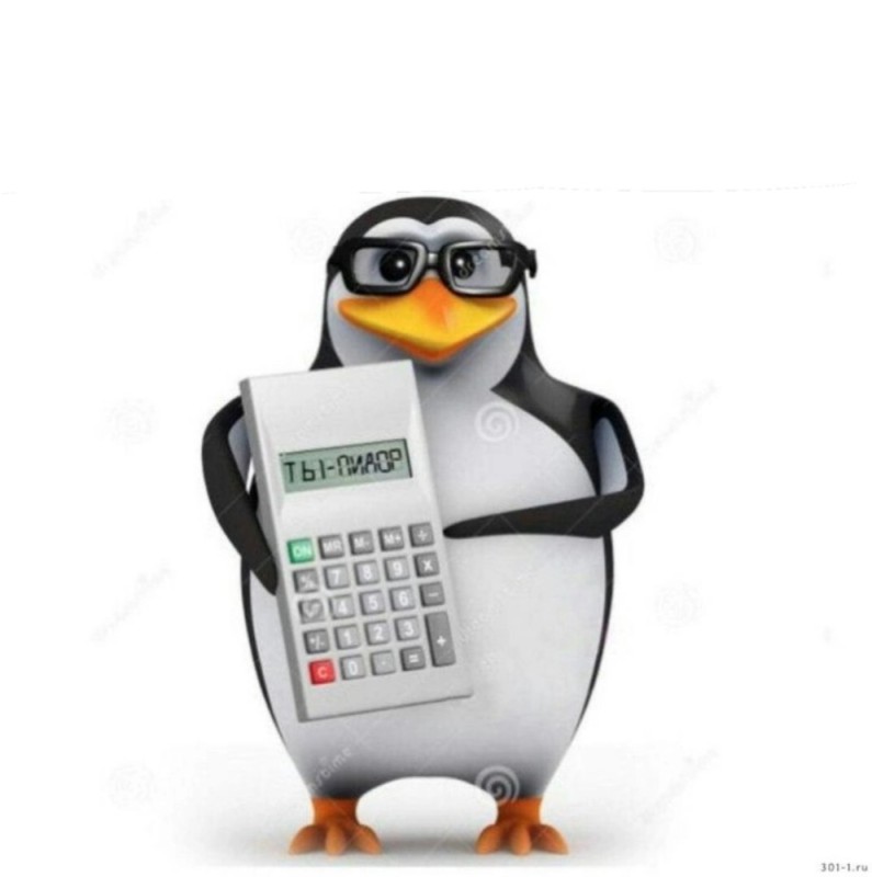 Create meme: penguin , the penguin is funny, penguin meme