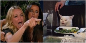 Создать мем: мемы с котами, woman yelling at a cat, мем с котом и двумя женщинами
