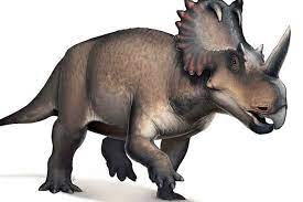 Create meme: Triceratops