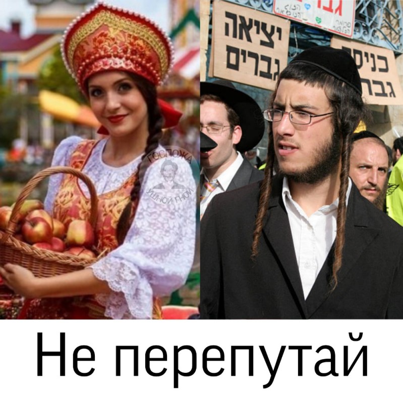 Create meme: Russian national holiday apple saved, a Jew with sidelocks, the cunning Jew 