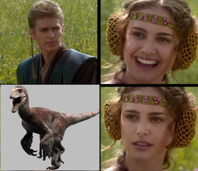 Create meme: Anakin and Padme on a picnic, star wars meme anakin and padme, Star wars Anakin and Padme