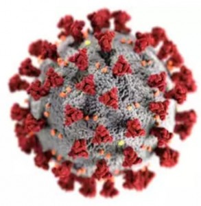 Create meme: virus, coronavirus, koronavirus