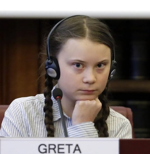 Create meme: Greta Thunberg, who is greta thunberg, thoughtful Greta Thunberg