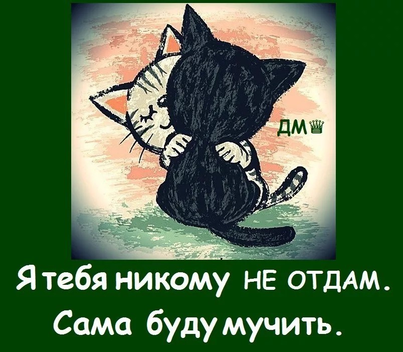 Максимовская измена не отдам никому. Любимому котику. Смешные открытки с котами. Смешные картинки с надписями нарисованные. Любимый котик.