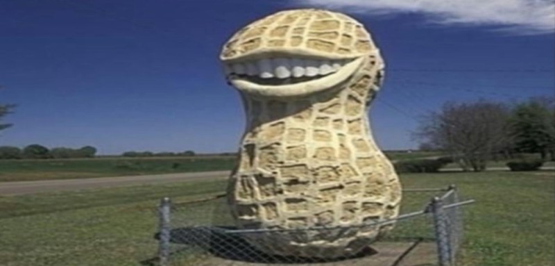Create meme: Peanut Monument in Plains, of peanut statue georgia, figure
