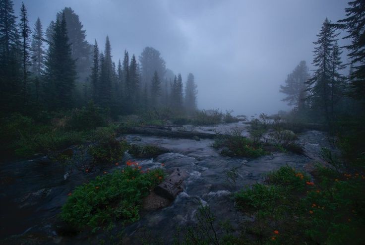 Create meme: natural Park Ergaki, ergaki forest, lake of artists ergaki in the fog