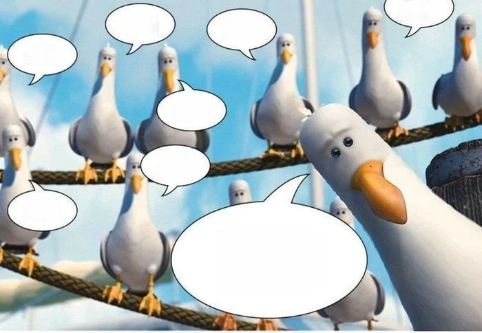 Create meme: let seagulls, memes , seagulls meme
