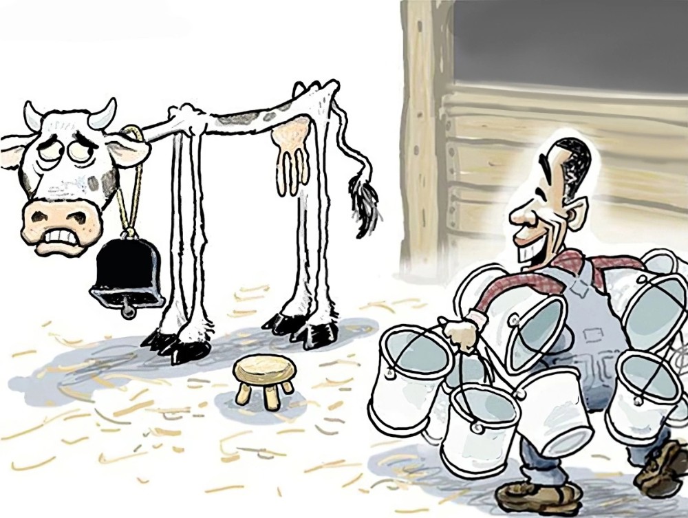 Создать мем: смешные анекдоты, доить корову, карикатуры смешные