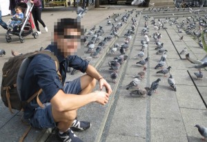 Create meme: pigeons doves, feed the pigeons, people