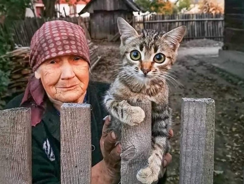 Создать мем: бабушка кошка, ей не с кем оставить кота стих, бабулька с котом в деревне