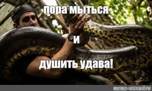Create meme: Anaconda snake on a tree, to strangle a Python, to strangle a Python meme