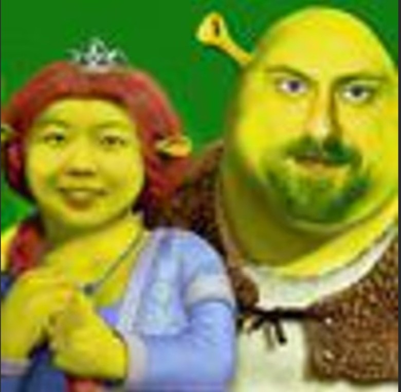 Create meme: the characters of Shrek, shrek fiona , Shrek Shrek