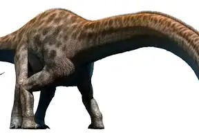 Create meme: dinosaur brachiosaurus, Diplodocus dinosaur dinosaur, Diplodocus Argentinosaurus