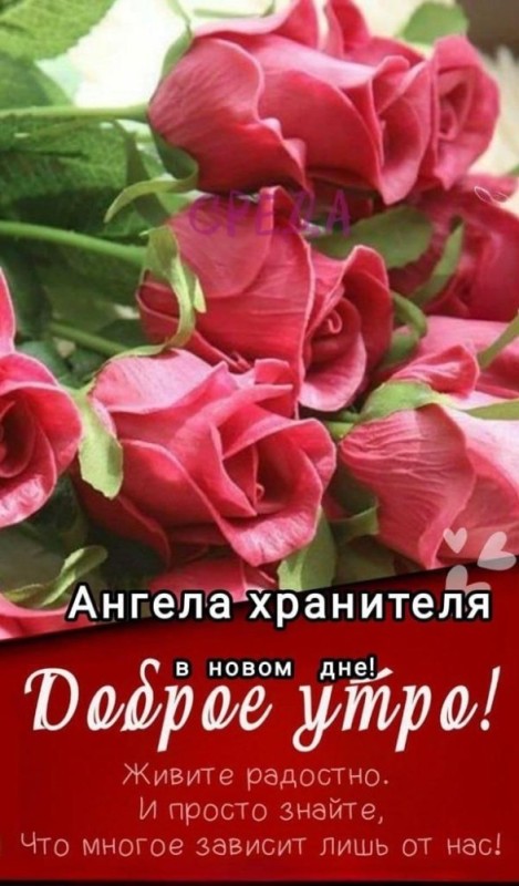 Создать мем: пожелания доброго утра открытки, доброе утро открытки, доброе пожелание