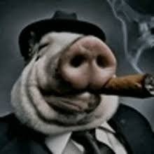Создать мем: морда свиньи, свинья крутая, свинья с сигарой