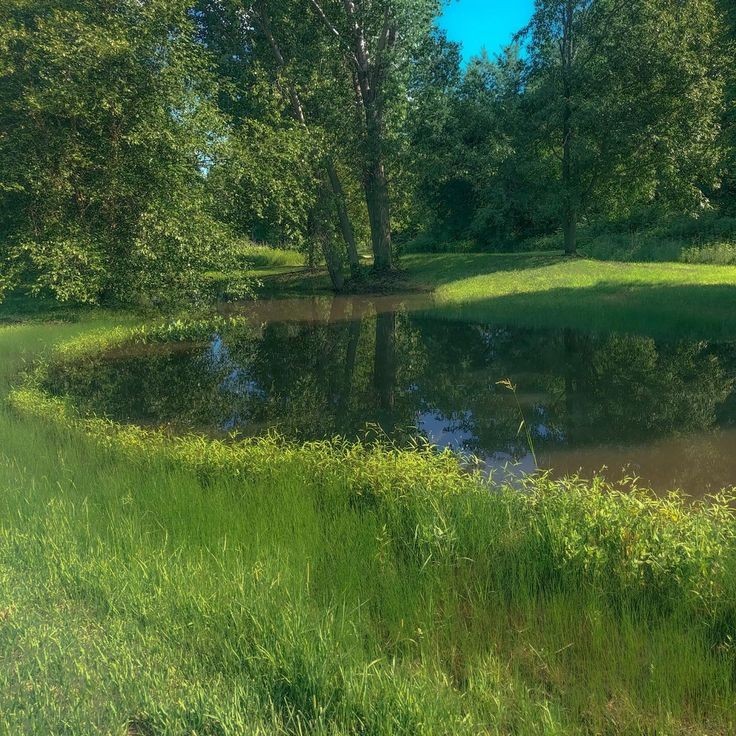 Create meme: landscape with a river, pond , the landscape is beautiful