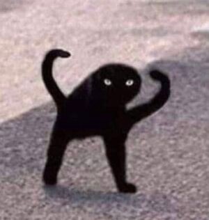 Create meme: black cat joy, joy cat, The original black cat