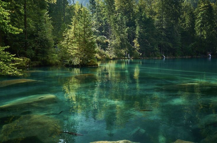 Create meme: blausee blue lake switzerland, green lake, lake blau switzerland in summer