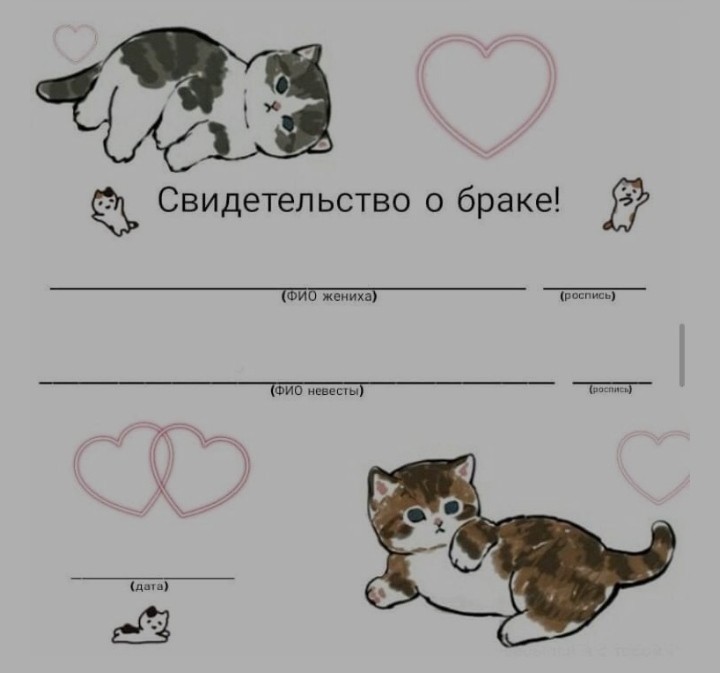 Create meme: marriage certificate, the marriage certificate is cute with cats, marriage certificate template