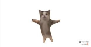 Создать мем: мем кот, кот флексит, танцующий кот