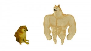 Create meme: inflated dog meme, doge meme Jock, dog Jock meme