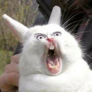Создать мем: зевающий кролик, орущий кролик, кролик кричит мем