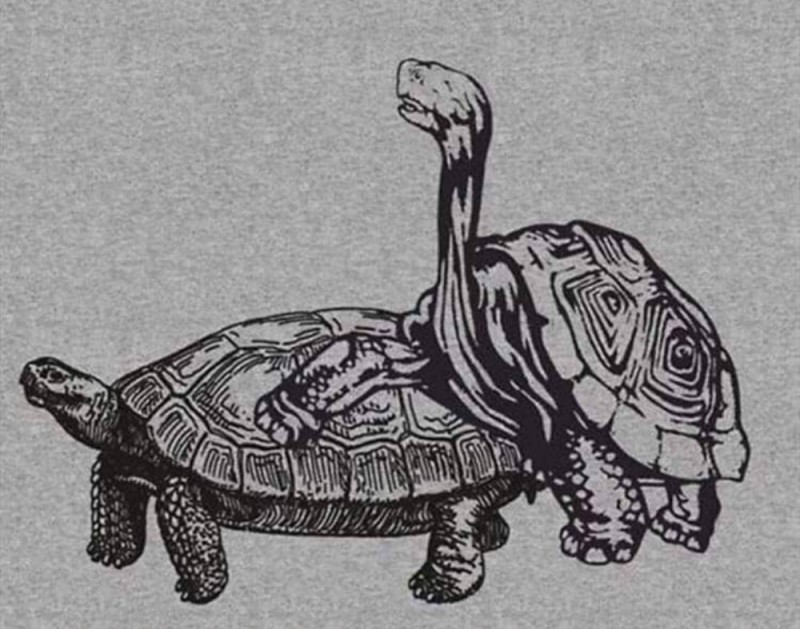 Создать мем: болотная черепаха, гигантская черепаха, черепаха иллюстрация