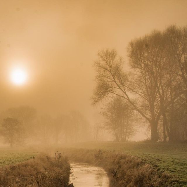 Create meme: Romanticism foggy landscape, morning fog , nature fog