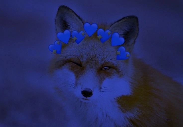 Создать мем: лиса в цветах, милая лисичка, лисица