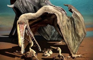 Создать мем: динозавры похожие на птерозавров, зубастые птерозавры, фото птеродактиля динозавр