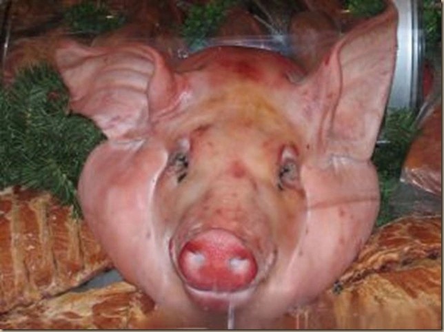 Create meme: pig's head , the pig's head, piglet's head