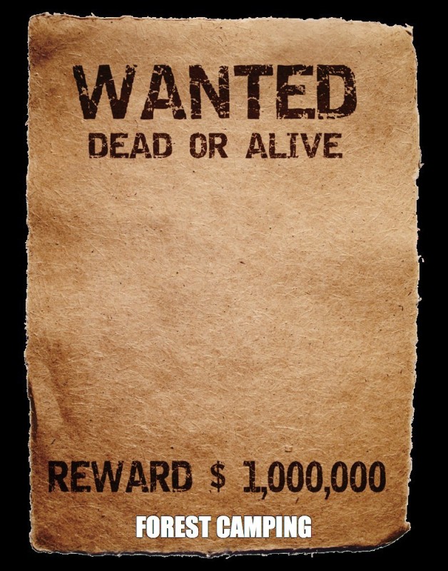 Создать мем: wanted dead or alive плакат, разыскивается американский плакат, листовка wanted