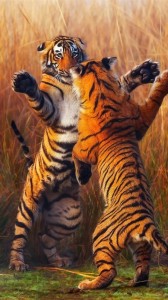 Создать мем: животные тигр, тигр поднимается, тигр большой