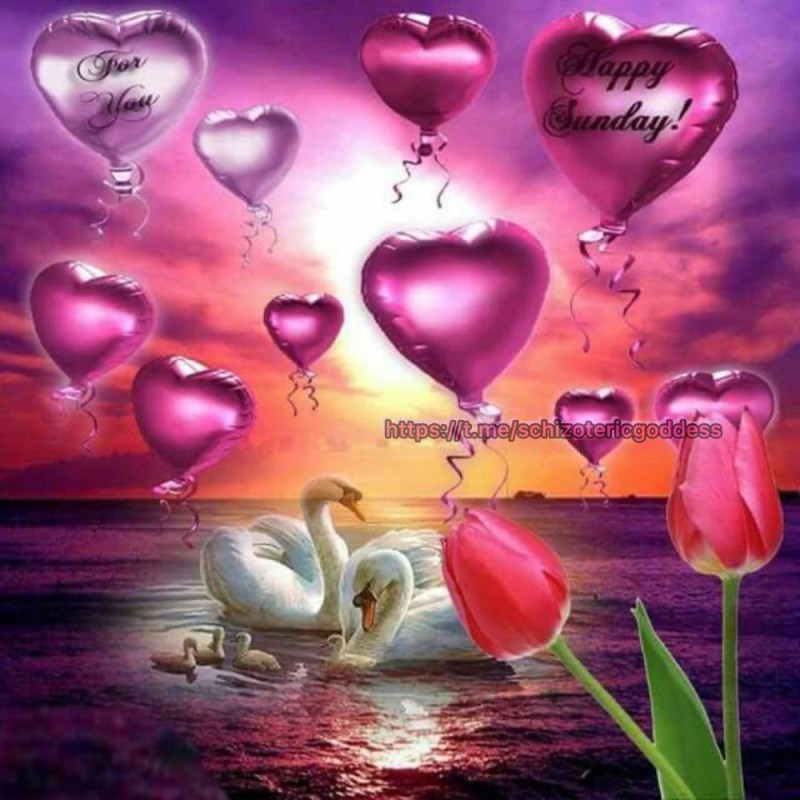 Create meme: balls hearts , pink hearts, balloons hearts