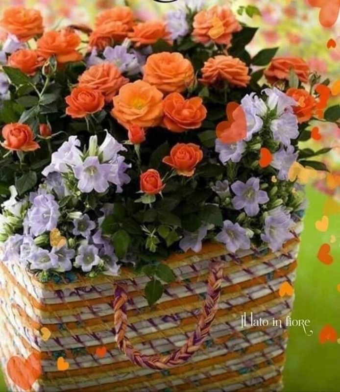 Создать мем: цветы в корзине оранжевые, цветы клумба, цветочная корзина