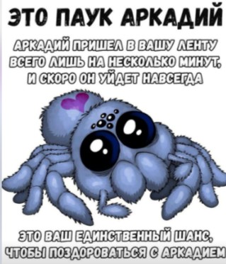 Create meme: Arkady the spider, cute spiders, cute spider