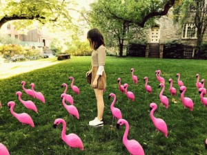 Создать мем: розовый, розовая курица, pink flamingo