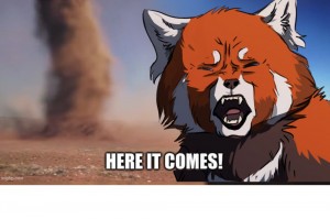 Create meme: drawing foxes, Fox