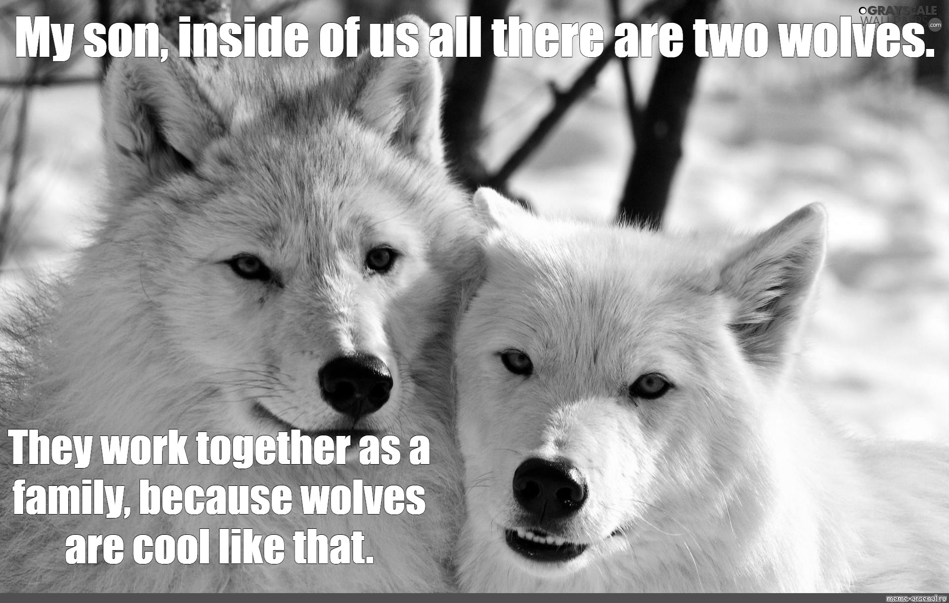Меме бывшие друзья. Волк Мем. Мемы с волками. Два волка Мем. Мем с белыми волками.