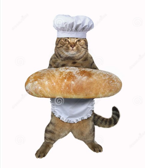 Создать мем: кошка в поварском колпаке, кот в поварском колпаке, кот пекарь