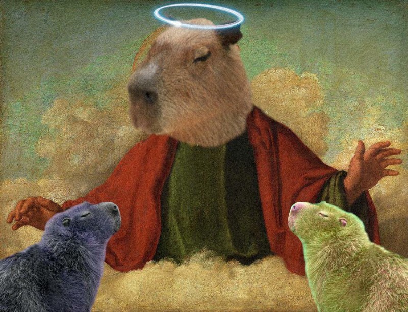 Create meme: the capybara , capybara art, capybara honey