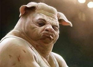 Create meme: GMO pigs, pig, pig