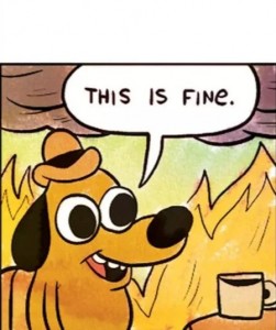 Create meme: dog this is fine, this is fine
