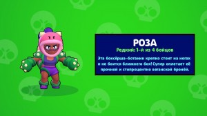 Create meme: hacked server brawl stars, pictures brawl stars rose, rose of game brawl stars