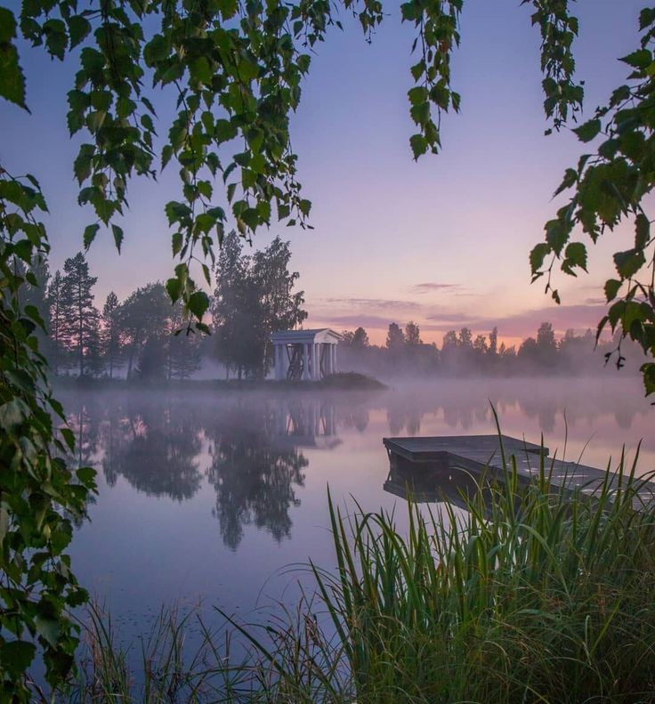 Create meme: morning on the river, morning landscape, misty dawn