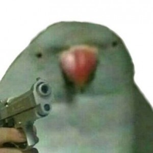 Create meme: parrot, a parrot with a gun